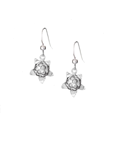 Örhänge Hjortron med liten krok